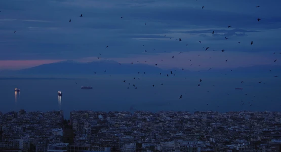 Teyrên, les envolées — still 1