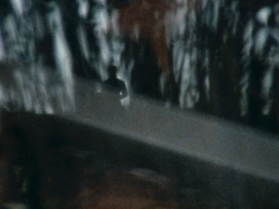 Miramen — still 2