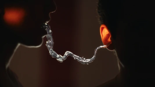 Étincelo et Graviflux — still 4