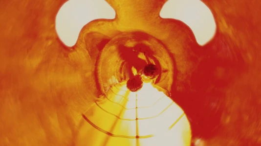 Étincelo et Graviflux — still 5